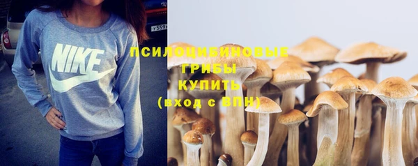 экстази Алексин