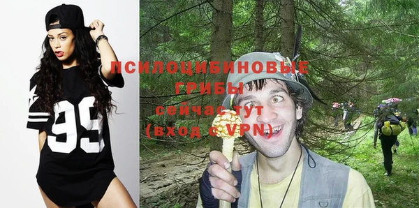 прущие грибы Арсеньев