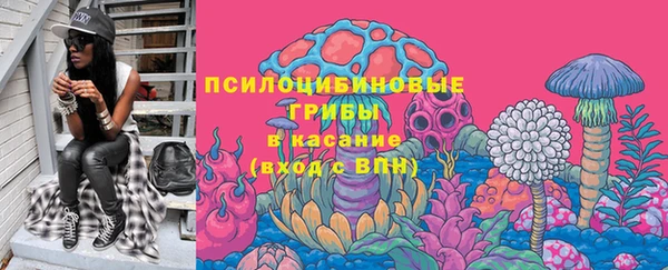 прущие грибы Арсеньев