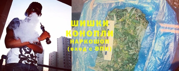 прущие грибы Арсеньев