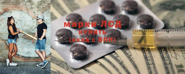 гидра Аркадак