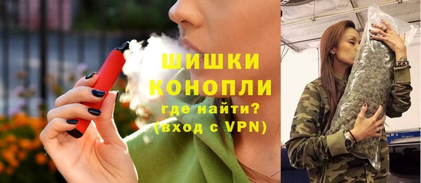 прущие грибы Арсеньев