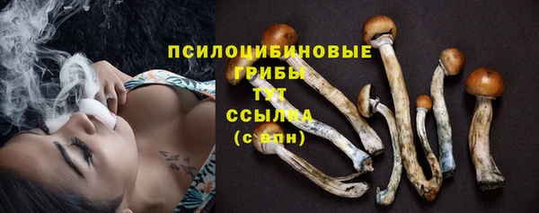 гидра Аркадак