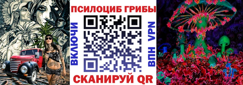 omg ССЫЛКА  Балей  Псилоцибиновые грибы мухоморы 